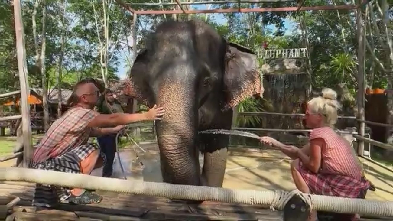 Turista bañando a un elefante