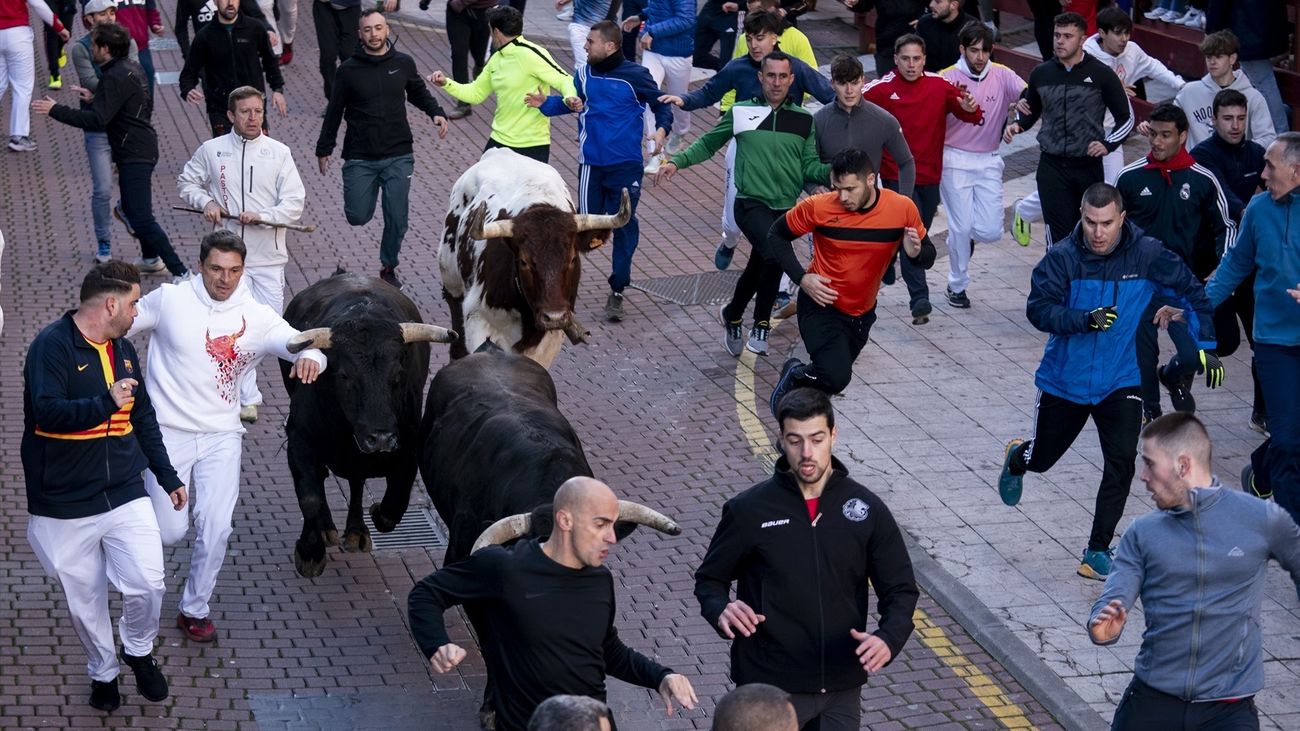 Encierro en San Sebastián de los Reyes