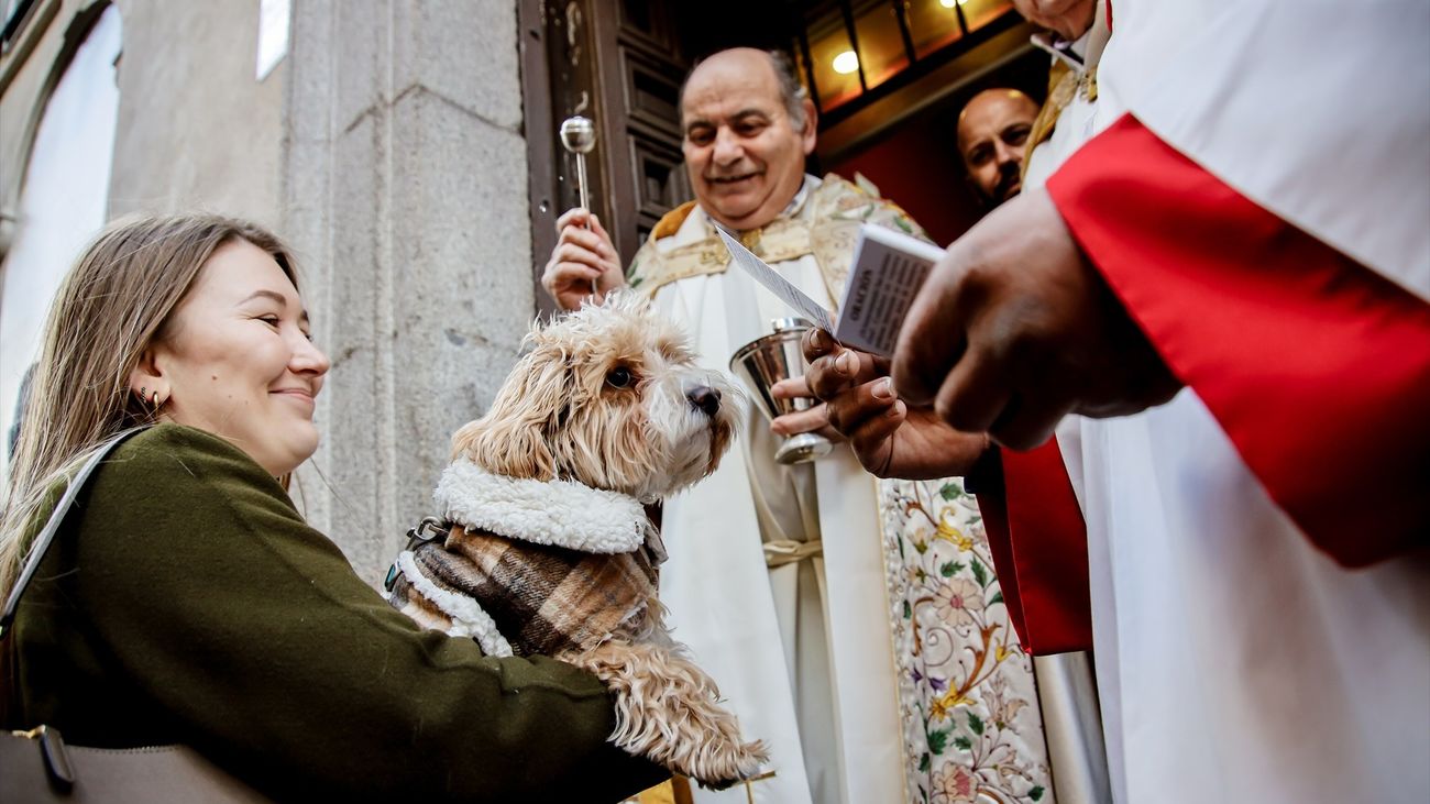 Un sacerdote bendice a un perro en la iglesia de San Antón de Madrid