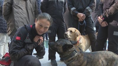 La Comunidad de Madrid, reconocida por el trabajo de sus unidades caninas tras la DANA de Valencia