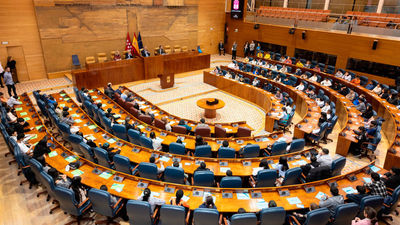 128 escolares de Primaria convertidos en diputados por un día en la Asamblea de Madrid