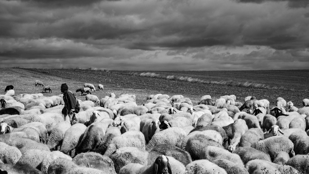 Fotografía de la exposición 'Pastores de ayer y hoy', de Luis Mendía