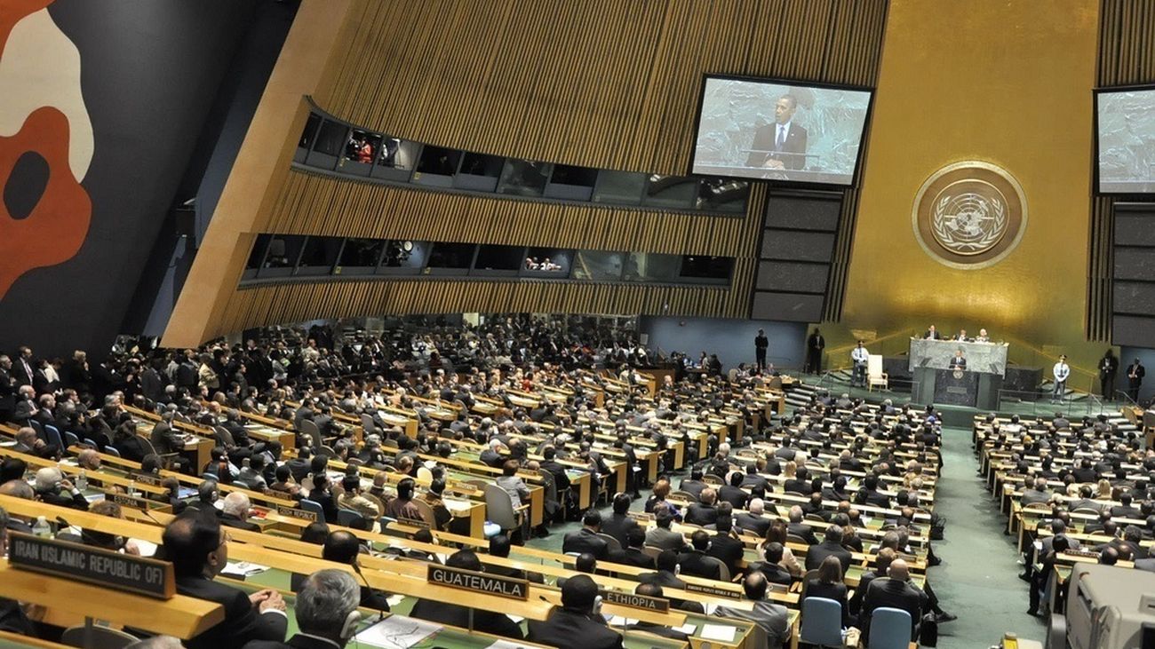 Asamblea General de las Naciones Unidas