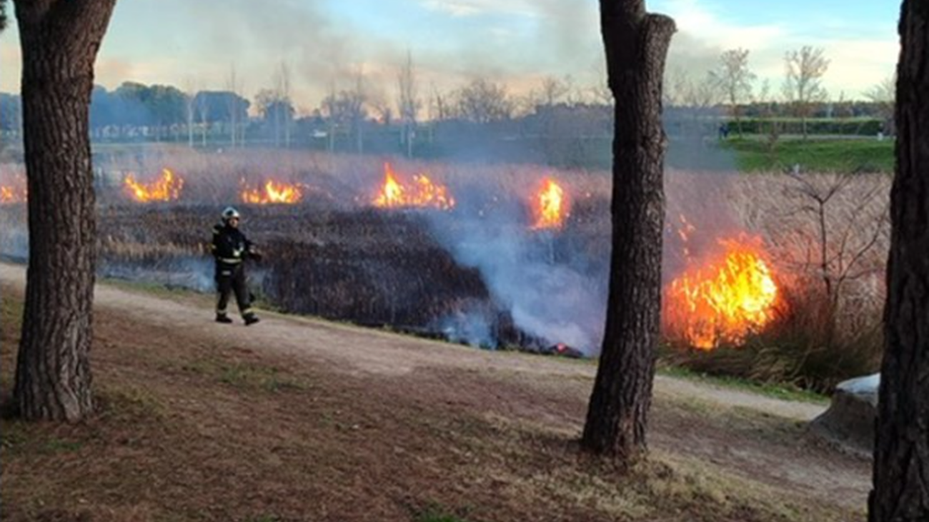 Incendio en el Parque Lineal de Burtarque de Leganés