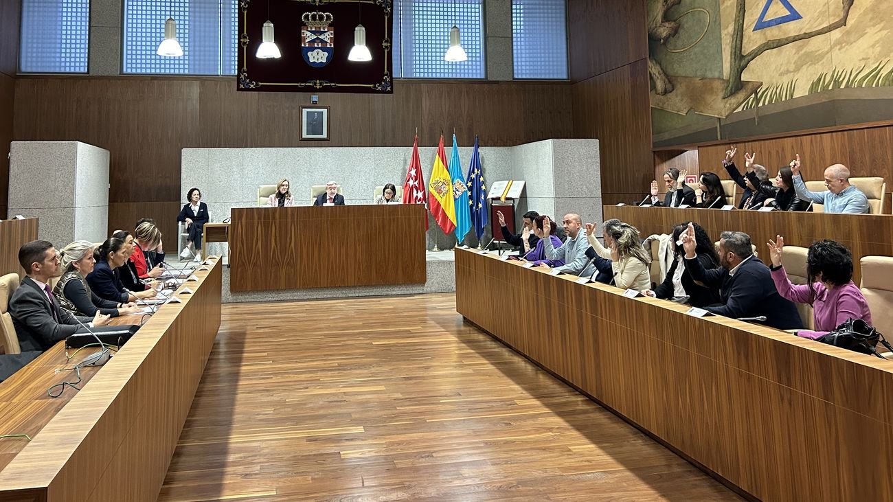 Pleno del Ayuntamiento de Leganés