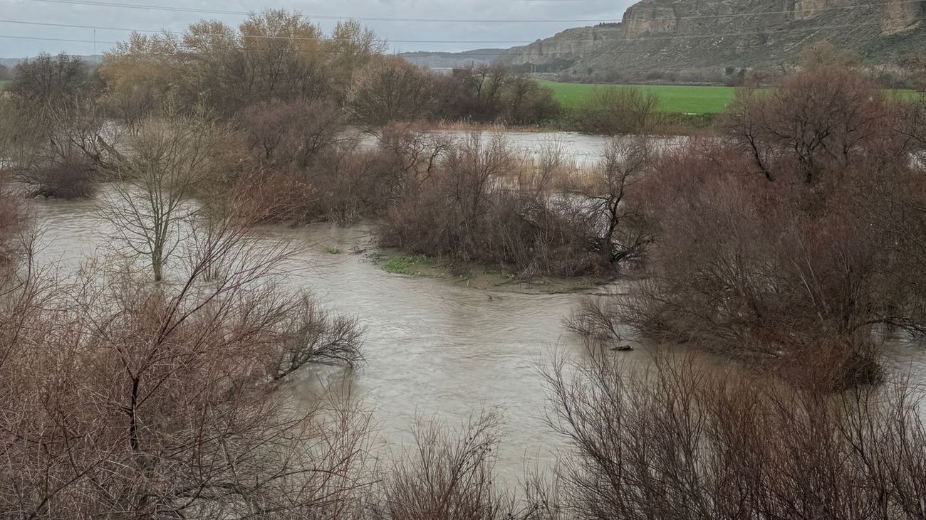 Cauce del río Jarama a su paso por Arganda del Rey