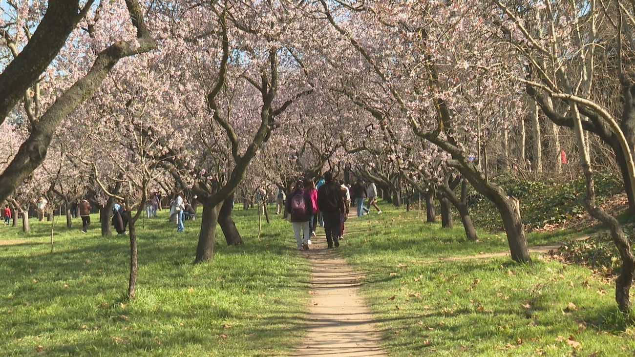 Aemet lo confirma: invierno cálido histórico y primavera con temperaturas al alza en 2025